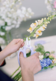 Flowers and Fun Vase Arranging Workshop