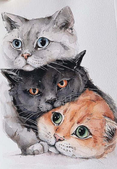 Fluffy Cat Watercolour Painting Workshop