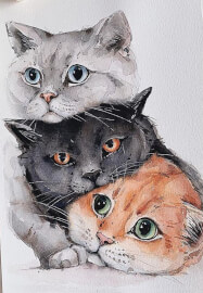 Fluffy Cat Watercolour Painting Workshop