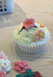 Fondant Cupcake Decorating Workshop