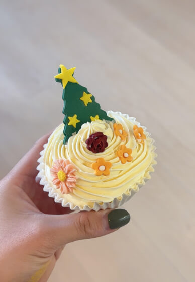 Fondant Cupcake Decorating Workshop