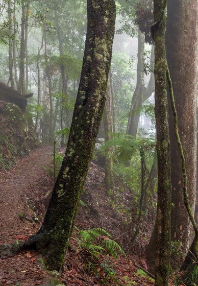 Forest and Falls Landscape Photography Workshop