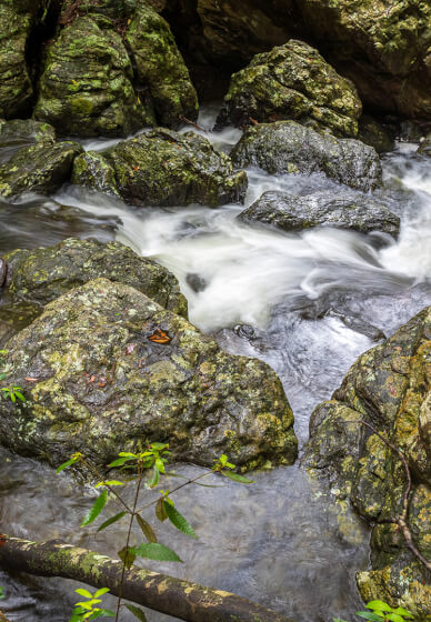 Forest and Falls Landscape Photography Workshop