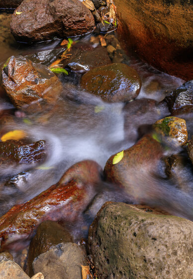 Forest and Falls Landscape Photography Workshop