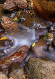 Forest and Falls Landscape Photography Workshop