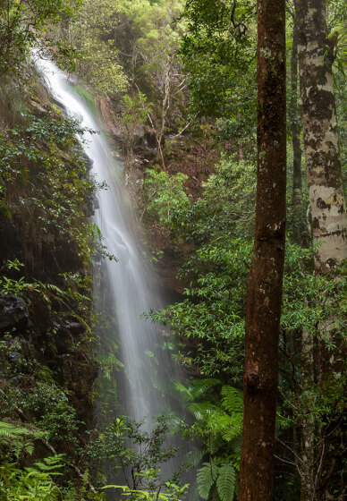 Forest and Falls Landscape Photography Workshop