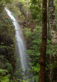 Forest and Falls Landscape Photography Workshop