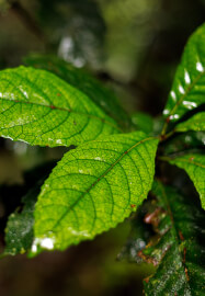 Forest and Falls Landscape Photography Workshop