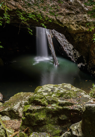Forest and Falls Landscape Photography Workshop