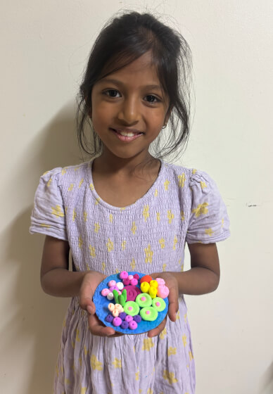 Form Clay Coral Reef Workshop