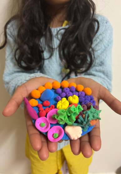 Form Clay Coral Reef Workshop