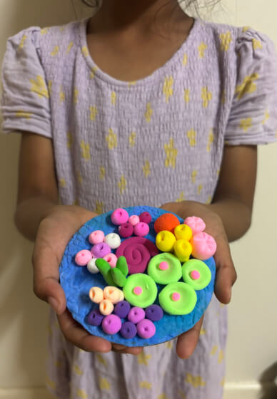 Form Clay Coral Reef Workshop