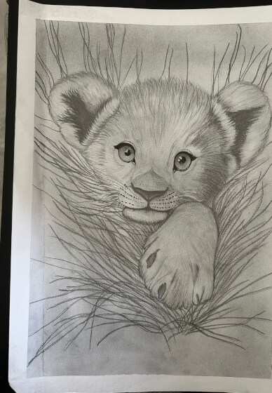 Foundation Course in Sketching: Animals