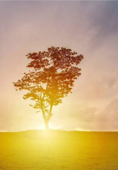 Free Transcendental Meditation Discovery Class