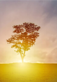 Free Transcendental Meditation Discovery Class