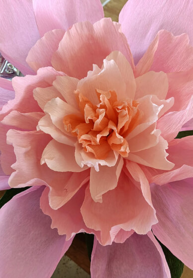 Full Bloom: Giant Paper Flower Workshop
