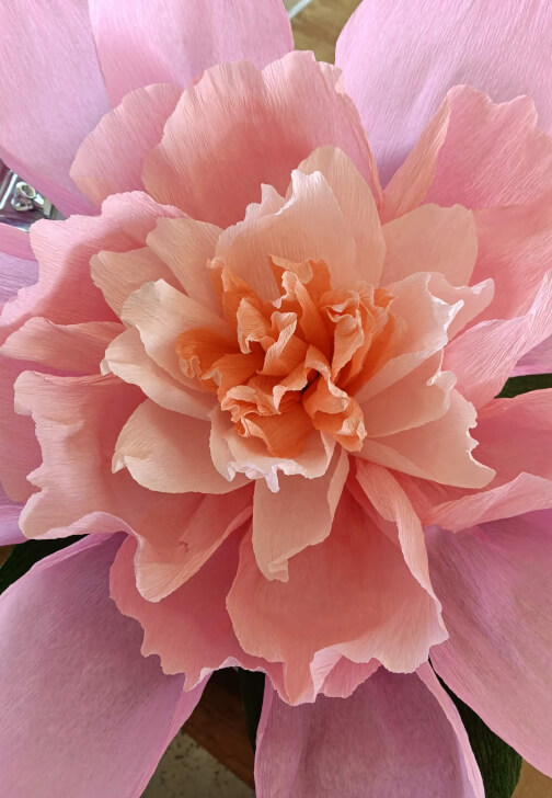 Full Bloom: Giant Paper Flower Workshop