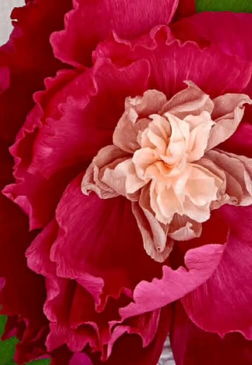 Full Bloom: Giant Paper Flower Workshop