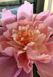 Full Bloom: Giant Paper Flower Workshop