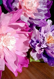 Full Bloom: Giant Paper Flower Workshop