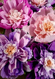 Full Bloom: Giant Paper Flower Workshop