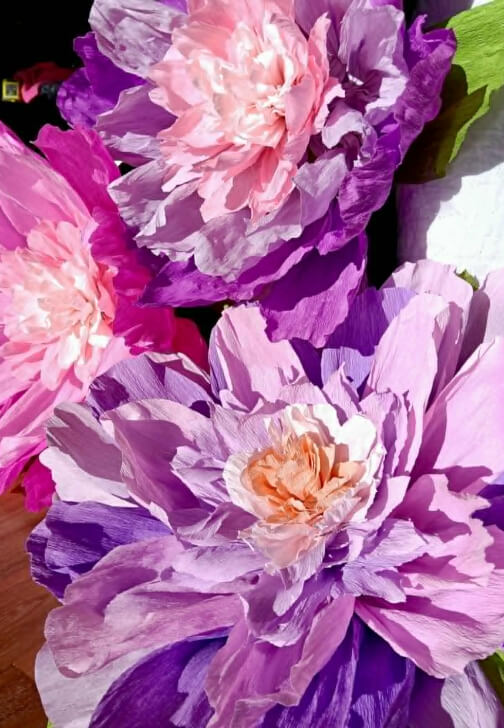 Full Bloom: Giant Paper Flower Workshop