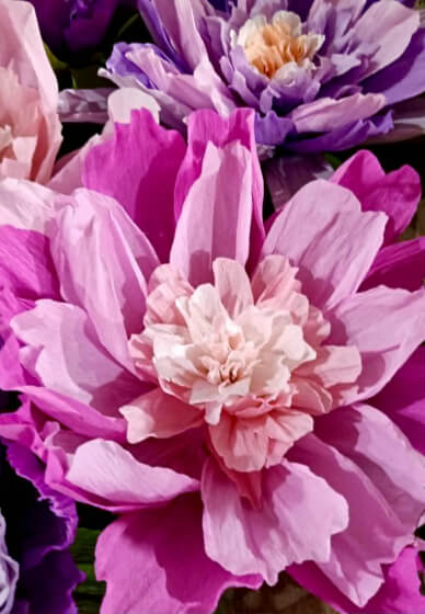Full Bloom: Giant Paper Flower Workshop