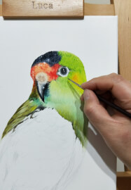 Full Day Private Art Class