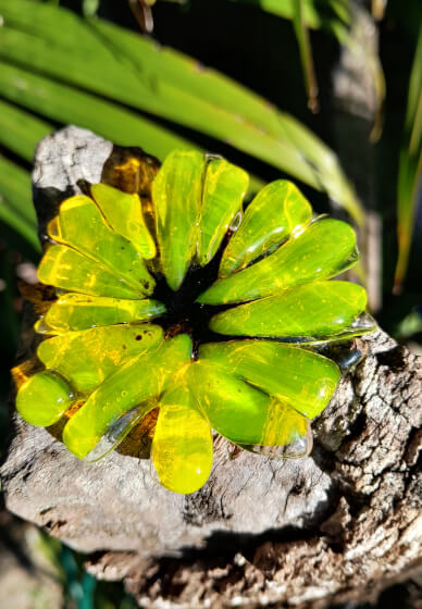 Fused Glass Jewellery Workshop Avante Glass Flowers