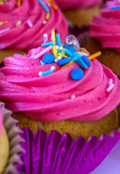 Gal / Pal / Valentines Craft Party