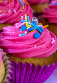 Gal / Pal / Valentines Craft Party