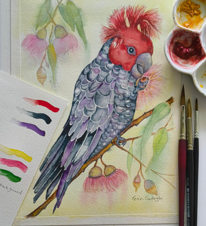 Gang Gang Cockatoo Watercolour Workshop with Ferie Sadeghi