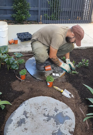 Garden Consultation Experience in Your Garden