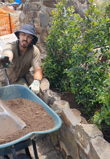 Garden Consultation Experience in Your Garden