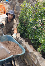 Garden Consultation Experience in Your Garden