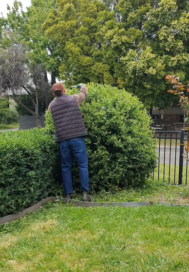 Garden Consultation Experience in Your Garden