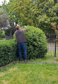 Garden Consultation Experience in Your Garden
