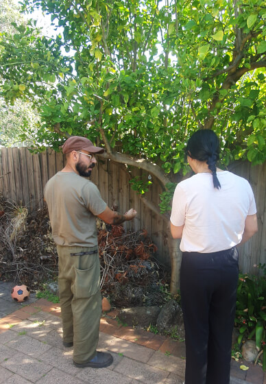 Garden Consultation Experience in Your Garden