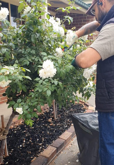 Garden Consultation Experience in Your Garden