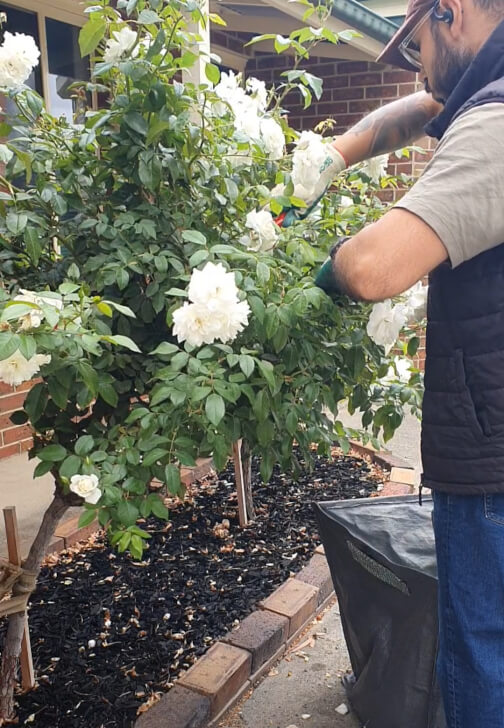 Garden Consultation Experience in Your Garden