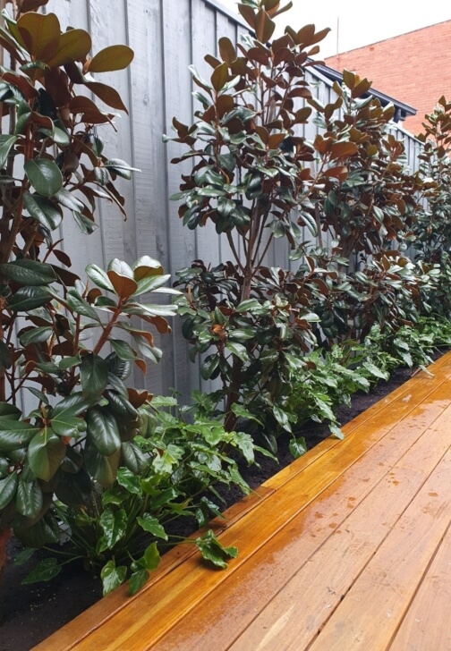 Garden Consultation Experience in Your Garden
