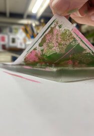 Gelli Plate Printing Class