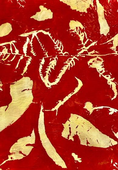 Gelli Plate Printing Workshop (ages 8-100yrs)