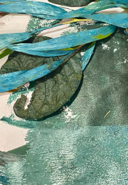 Gelli Plate Printing Workshop (ages 8-100yrs)