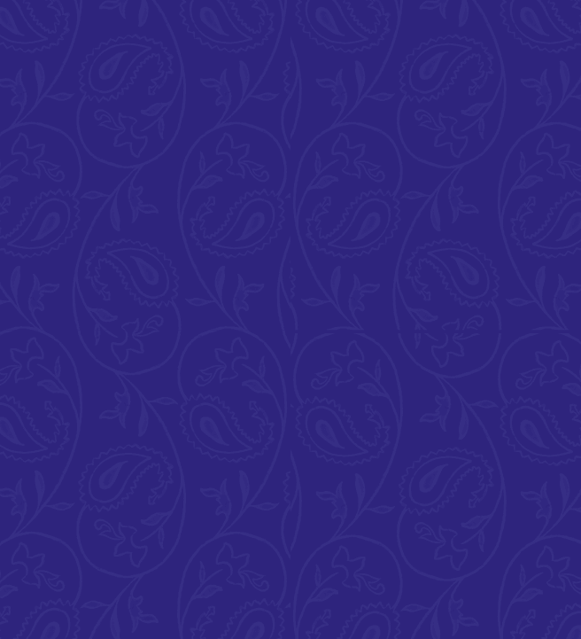 Beginner's Henna Design Workshop