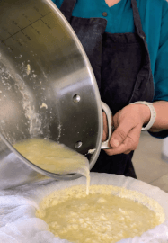Ghee and Paneer Workshop: Kitchen Alchemy Made Easy