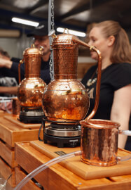 Gin Distilling Masterclass