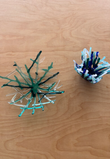 Glass Fused Coral Bowl Workshop