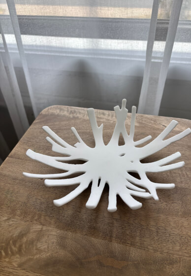 Glass Fused Coral Bowl Workshop