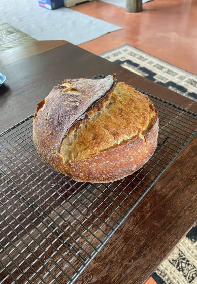Gluten-free Sourdough Workshop